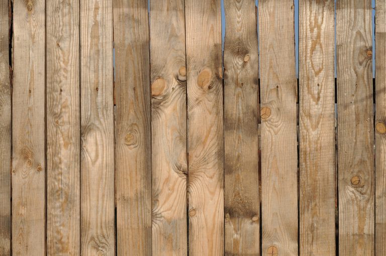 fence-19544_1920-768x510